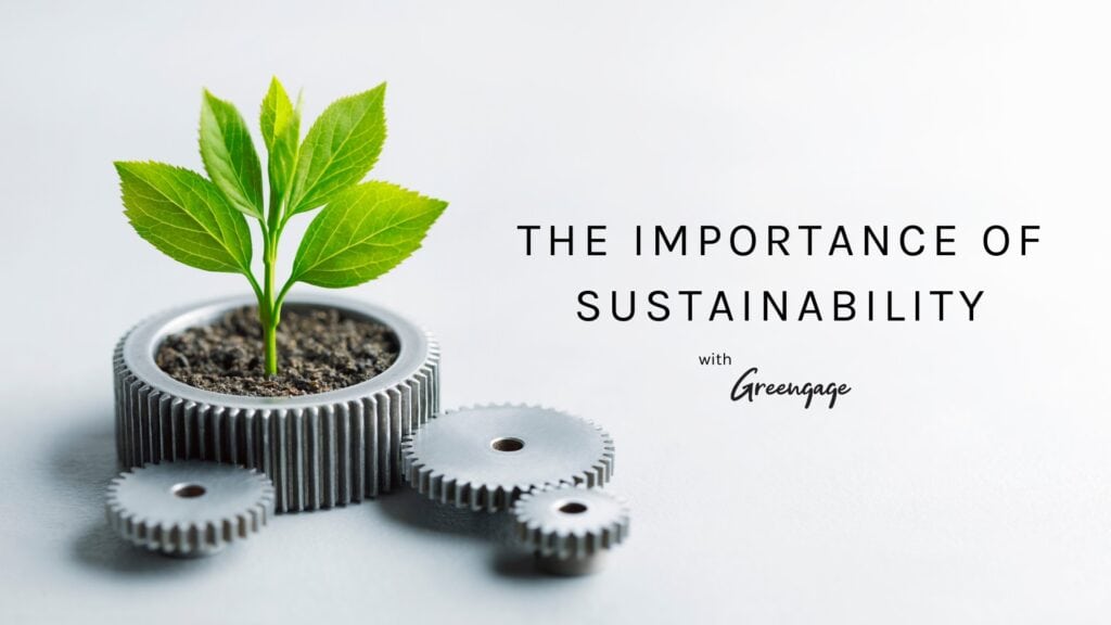 IMPORTANCE OF SUSTAINABILITY IN EVENTS